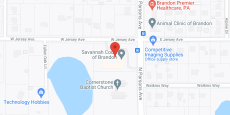Savannah Court of Brandon in google map