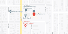 Golden Living Center Watertown in google map