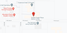 Golden Eagle Plaza in google map