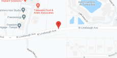 Aston Gardens at Tampa Bay in google map