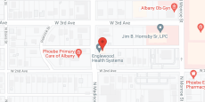 Englewood Health Care Ctr in google map