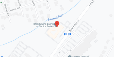 Brandywine at Senior Suites in google map