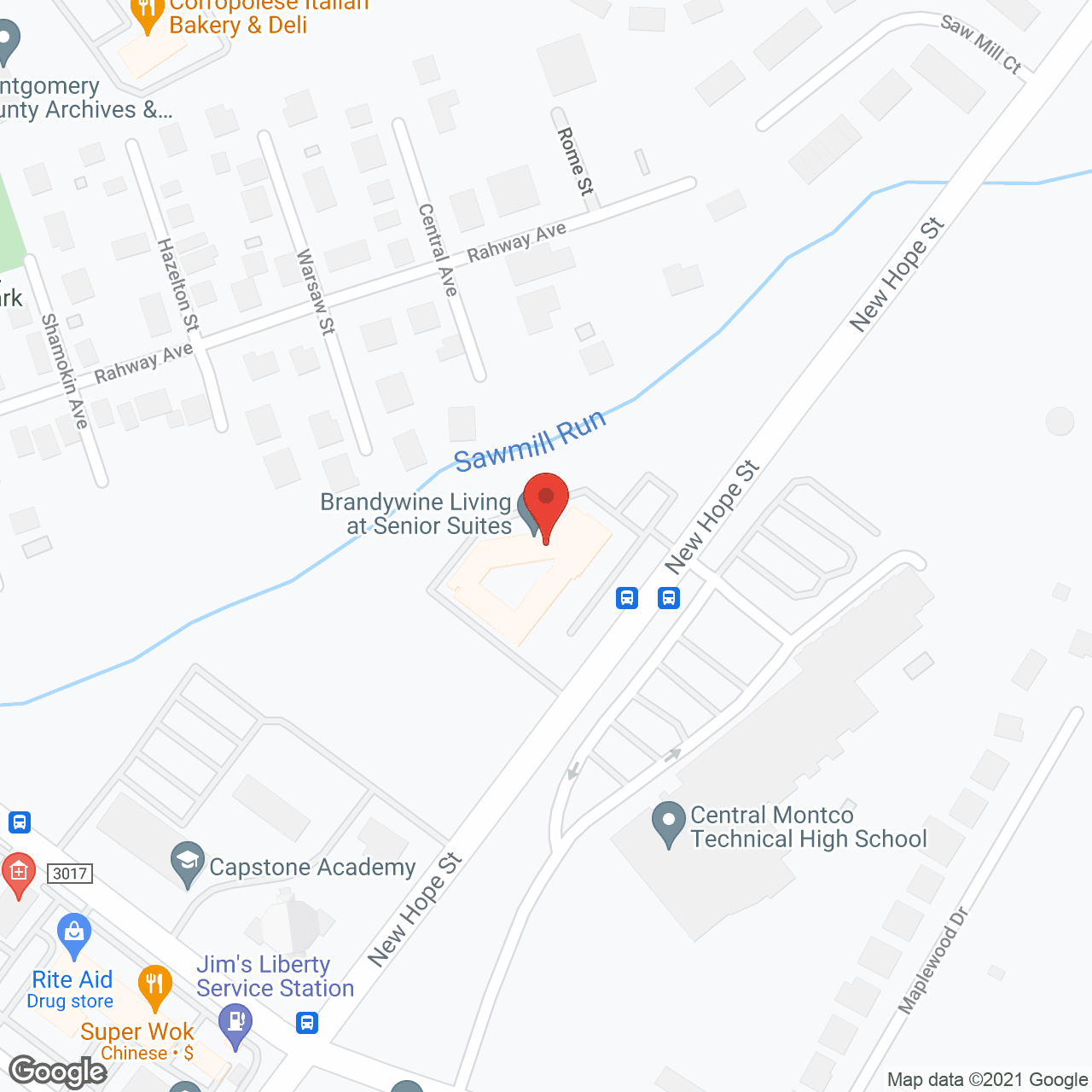 Brandywine at Senior Suites in google map