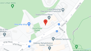 Sophia Snow Place in google map