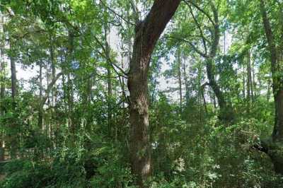 Photo of Mathis Ferry Plantation