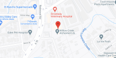 Willow Creek Alzheimer Care in google map