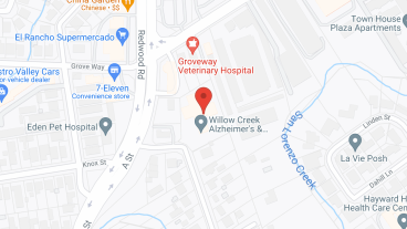 Willow Creek Alzheimer Care in google map