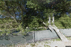 Photo of Forester Haven California-uinlicensed