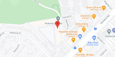 Autumn Leaves in google map