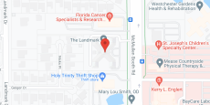 The Landmark in google map