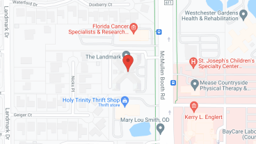 The Landmark in google map