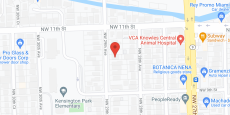 Leyi's Adult Care II in google map