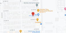 Oasis Home For the Elderly in google map