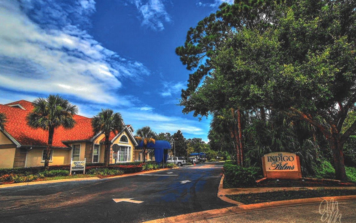 Photo of Indigo Palms