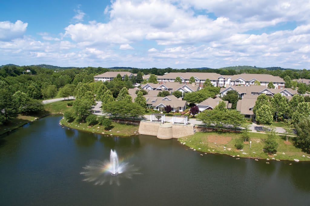 Somerfield at The Heritage at Brentwood aerial view of community