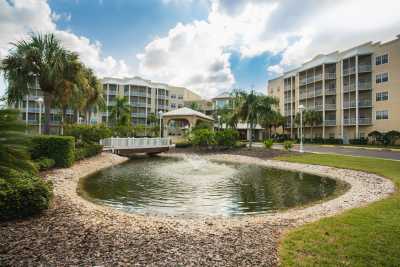 Photo of Regal Palms